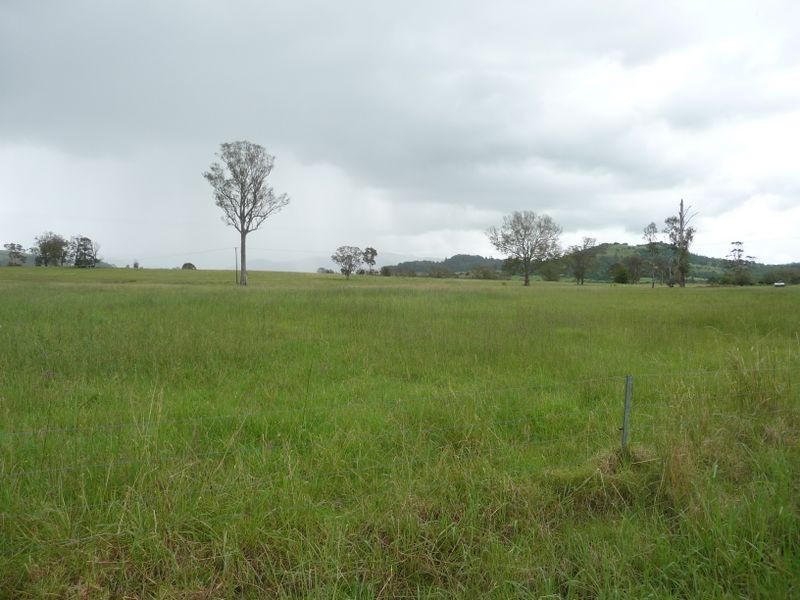 Wingham NSW 2429