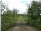 Wingham NSW 2429