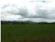 Wingham NSW 2429