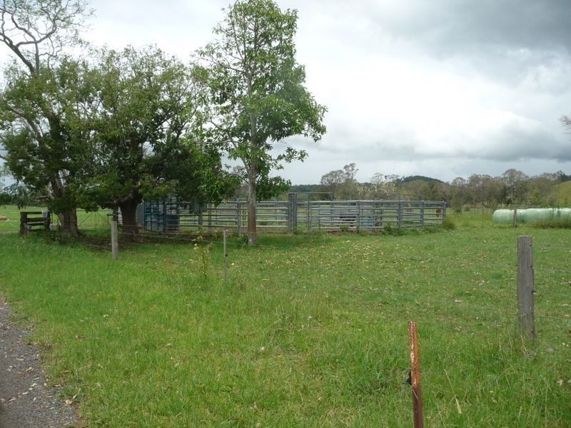 Wingham NSW 2429