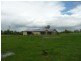 Wingham NSW 2429
