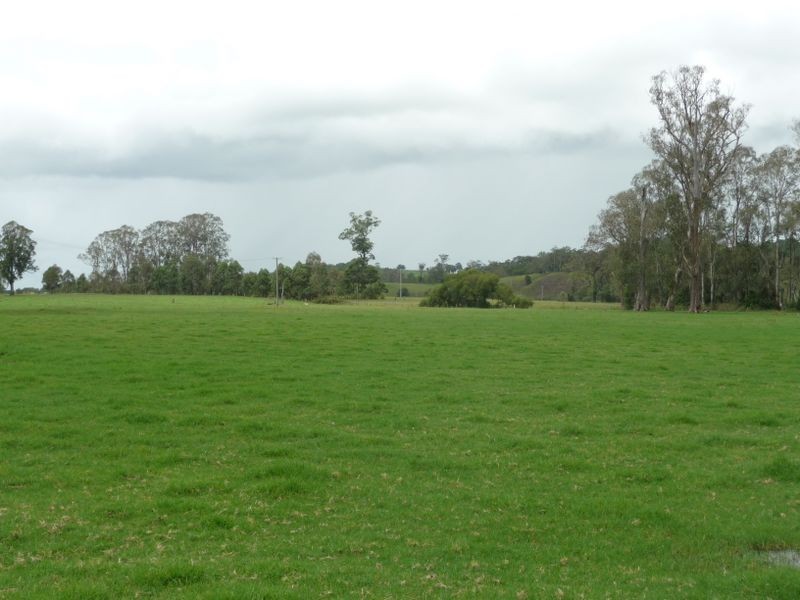 Wingham NSW 2429