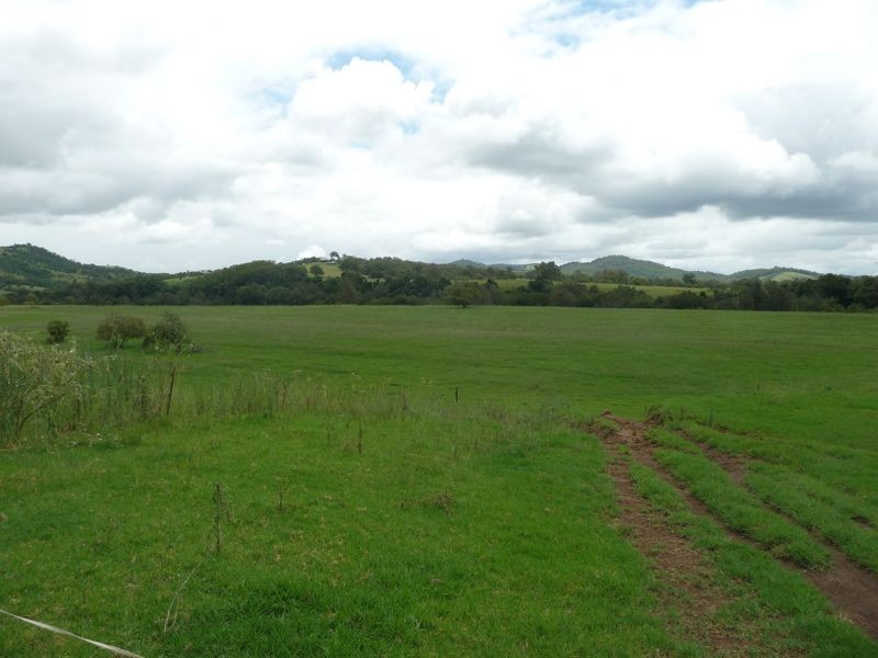 Wingham NSW 2429