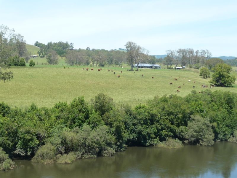 Wingham NSW 2429