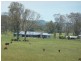 Wingham NSW 2429
