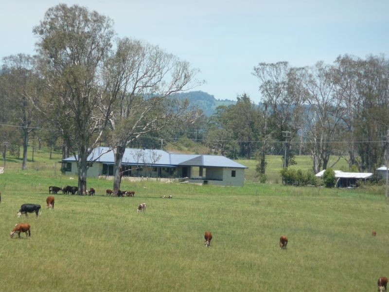 Wingham NSW 2429