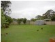 34 Hillcrest Avenue, Wingham NSW 2429