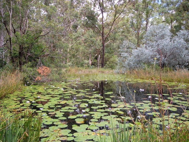 502 Nowendoc Road, Wingham NSW 2429