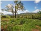 543 Somerset Road, Wingham NSW 2429