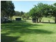 21 Helmich Close, Wingham NSW 2429