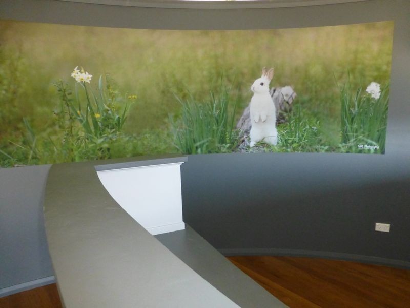 107 Isabella Street, Wingham NSW 2429