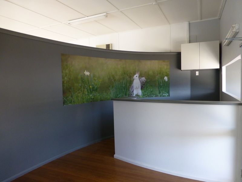 107 Isabella Street, Wingham NSW 2429