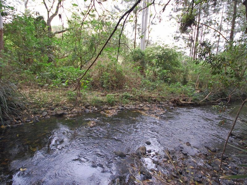 Bobin NSW 2429