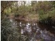Bobin NSW 2429