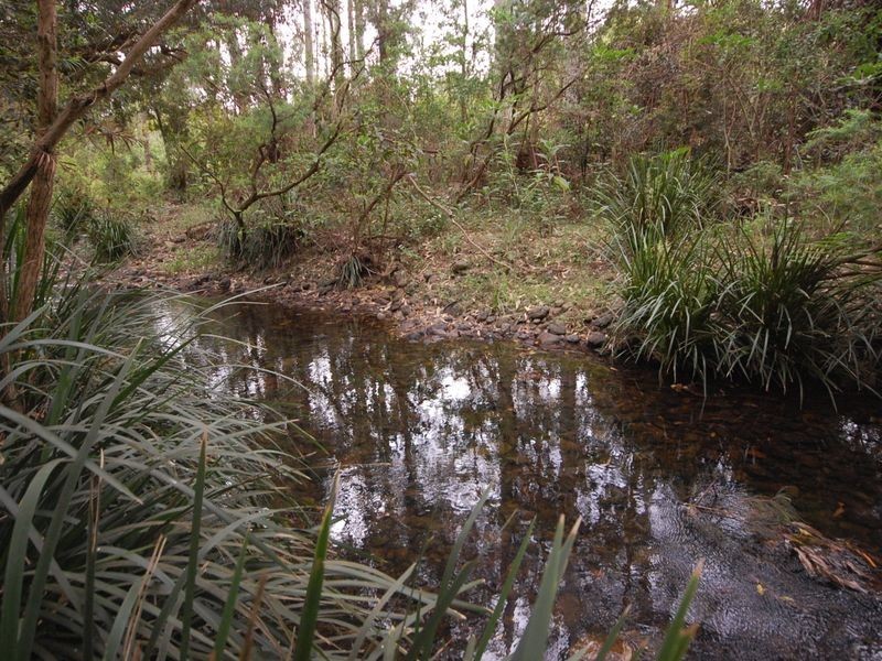 Bobin NSW 2429