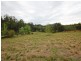 Bobin NSW 2429