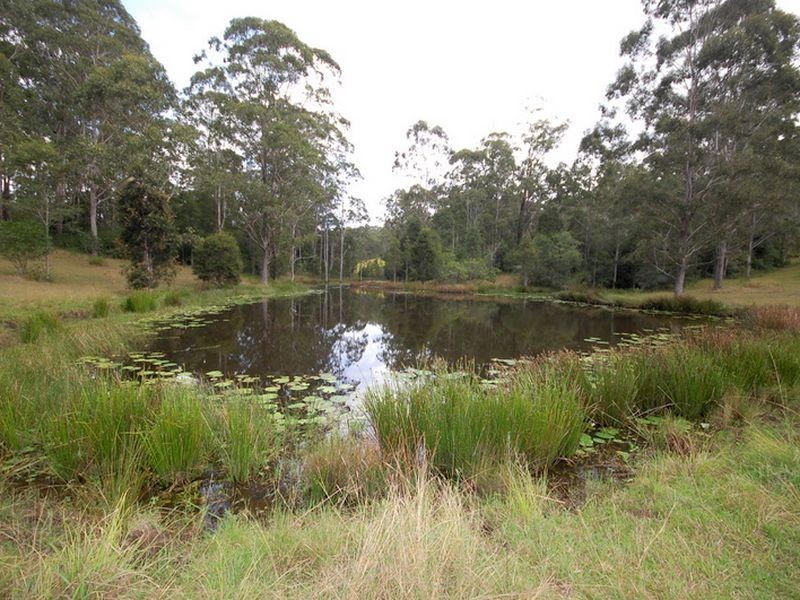 Wherrol Flat NSW 2429