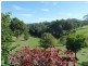 3 Felton Place, Wingham NSW 2429