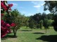 3 Felton Place, Wingham NSW 2429