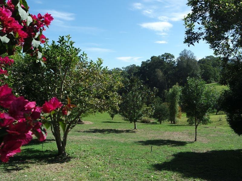 3 Felton Place, Wingham NSW 2429