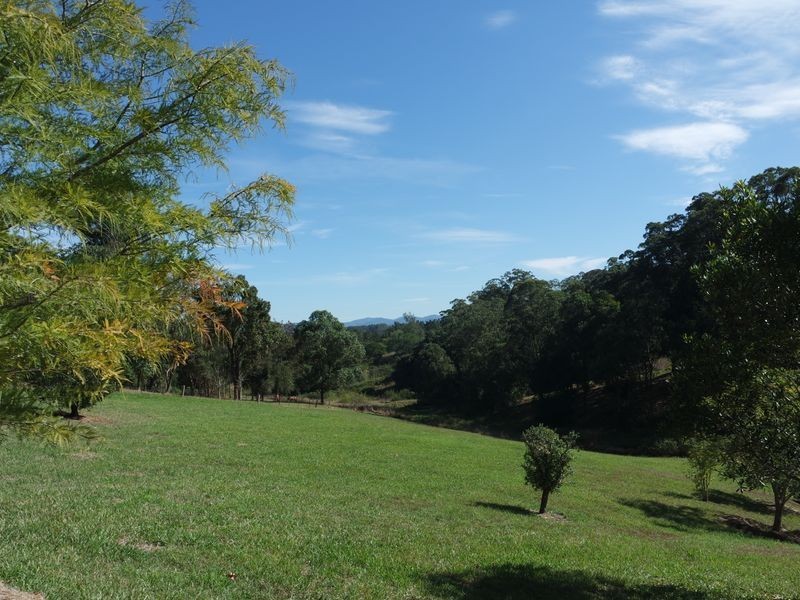 3 Felton Place, Wingham NSW 2429