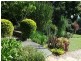 3 Felton Place, Wingham NSW 2429