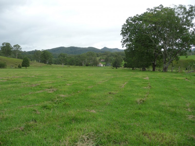 Wherrol Flat NSW 2429