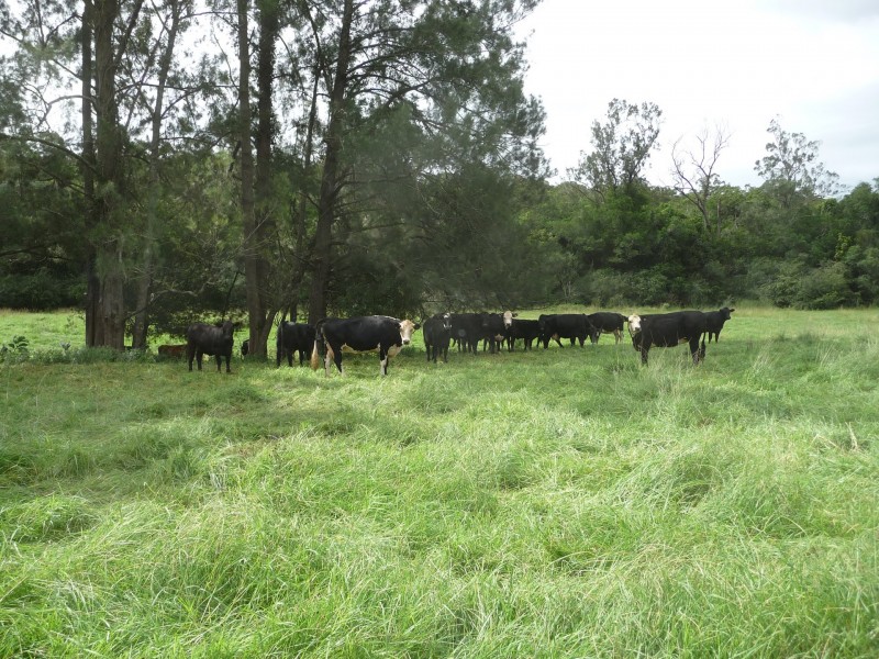 Wherrol Flat NSW 2429