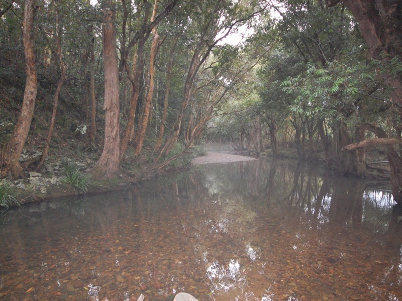 Wherrol Flat NSW 2429