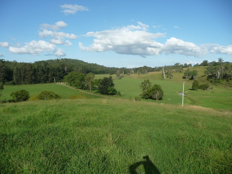 Wherrol Flat NSW 2429