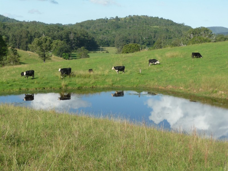 Wherrol Flat NSW 2429