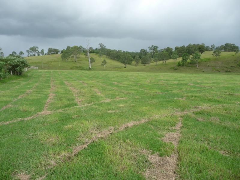 Wherrol Flat NSW 2429