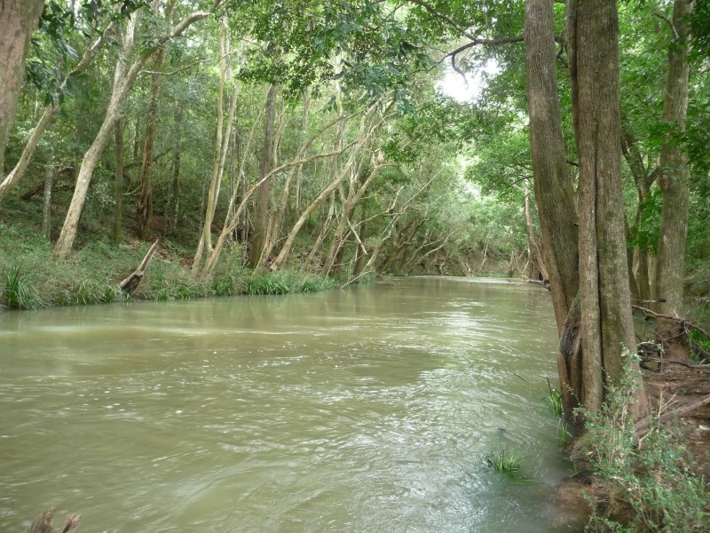 Wherrol Flat NSW 2429