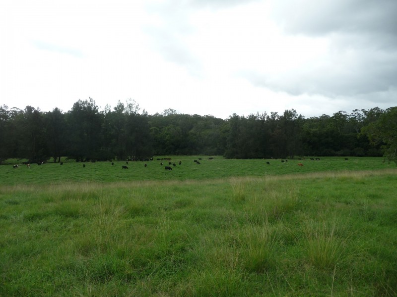 Wherrol Flat NSW 2429