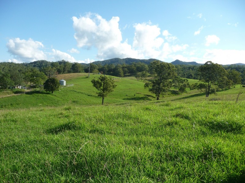 Wherrol Flat NSW 2429