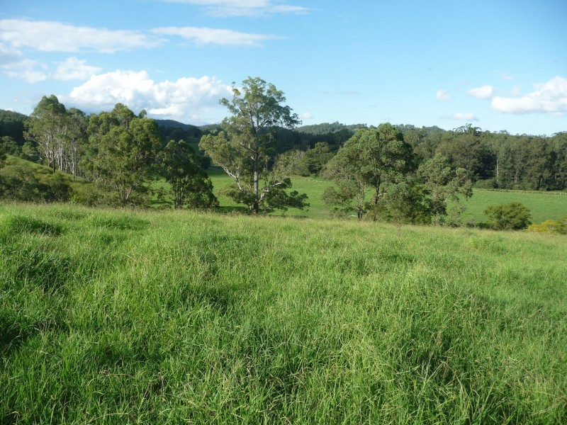 Wherrol Flat NSW 2429