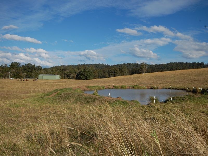 Firefly NSW 2429