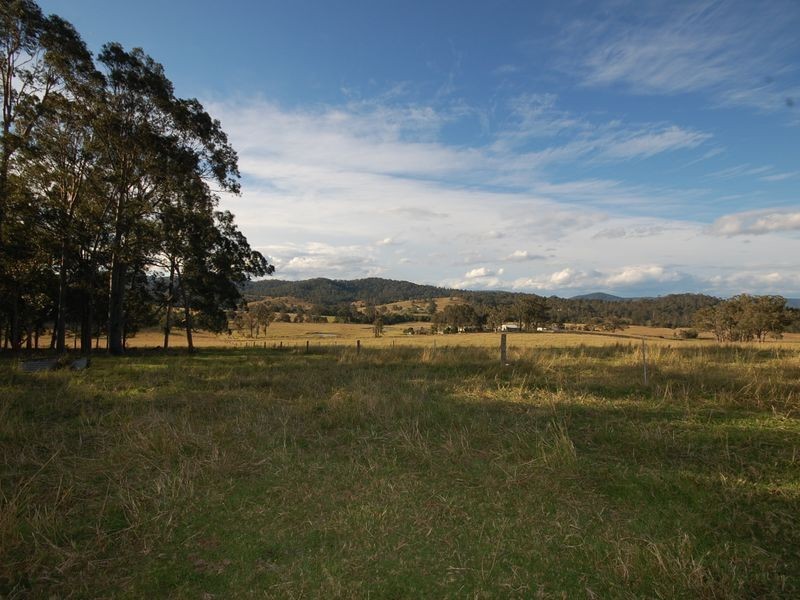 Firefly NSW 2429