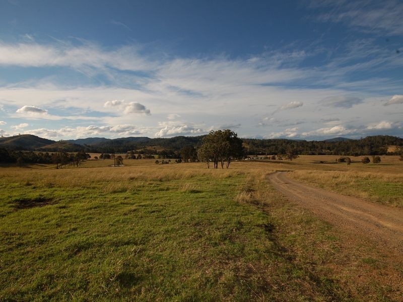 Firefly NSW 2429