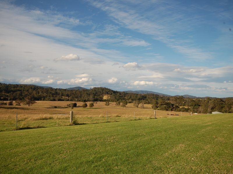 Firefly NSW 2429