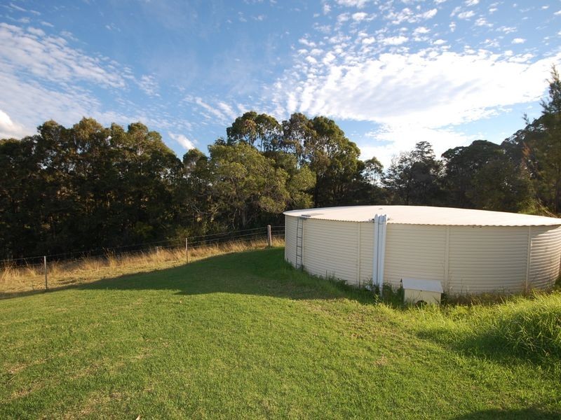 Firefly NSW 2429