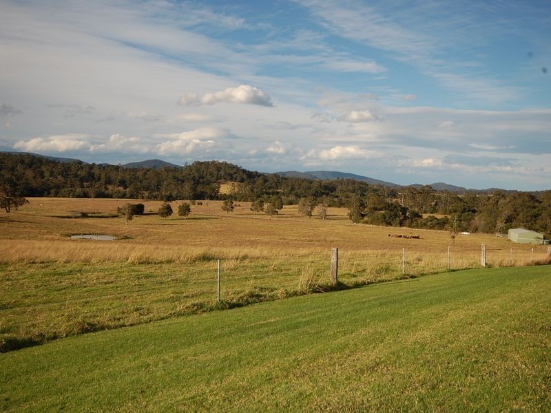 Firefly NSW 2429