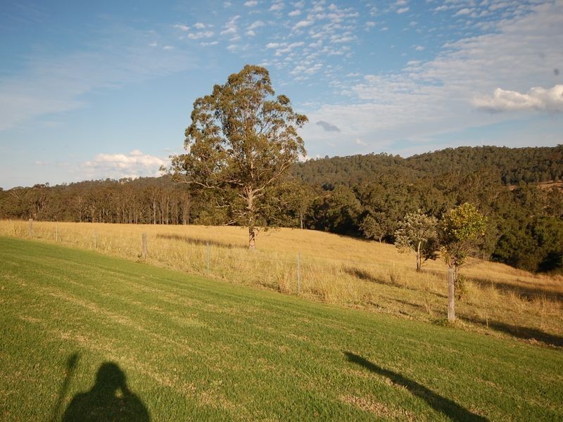 Firefly NSW 2429