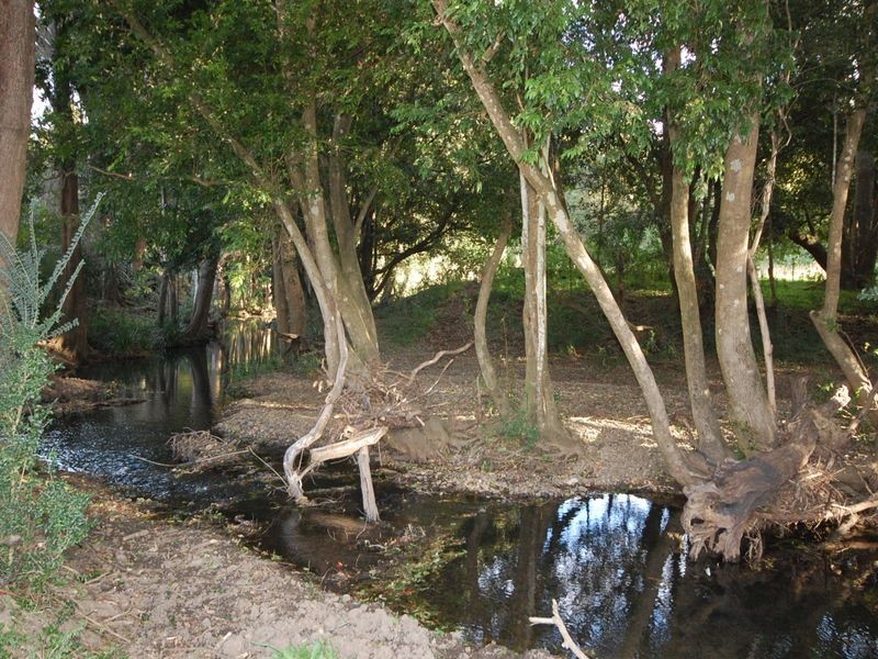 Firefly NSW 2429