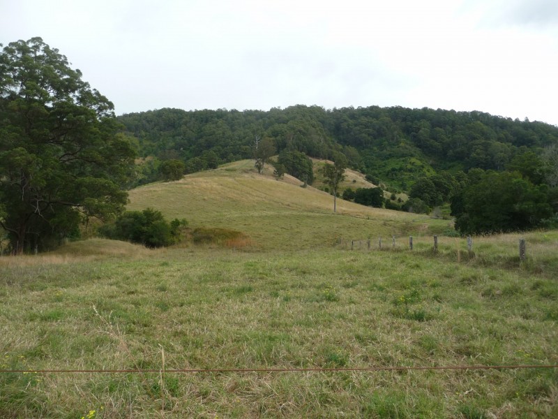 1843 Comboyne Road, Killabakh NSW 2429