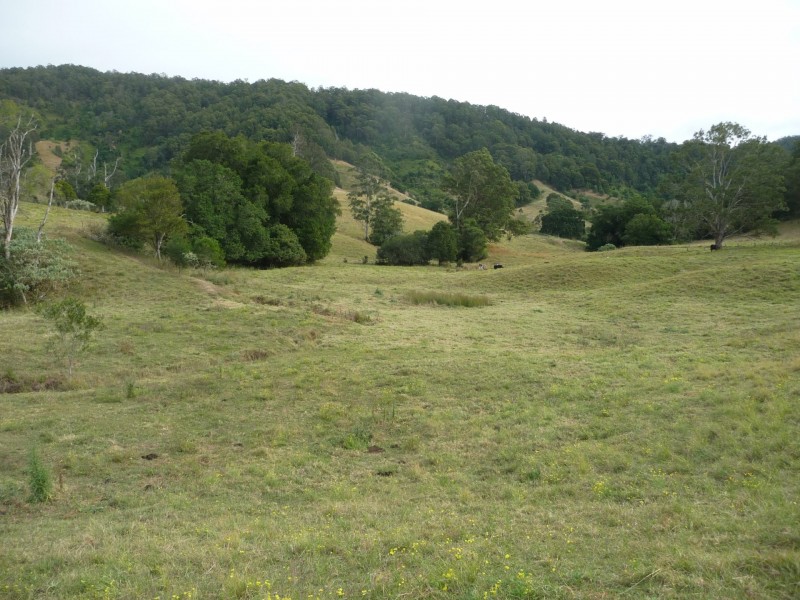 1843 Comboyne Road, Killabakh NSW 2429