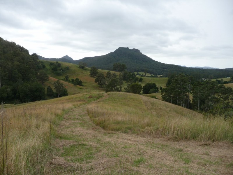 1843 Comboyne Road, Killabakh NSW 2429