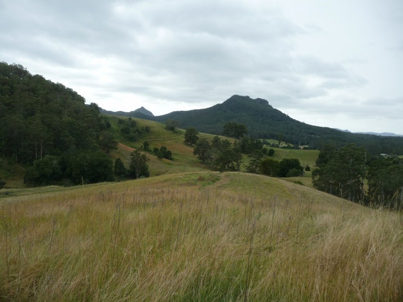 1843 Comboyne Road, Killabakh NSW 2429