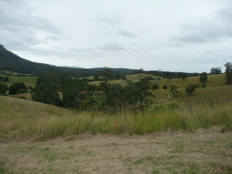 1843 Comboyne Road, Killabakh NSW 2429