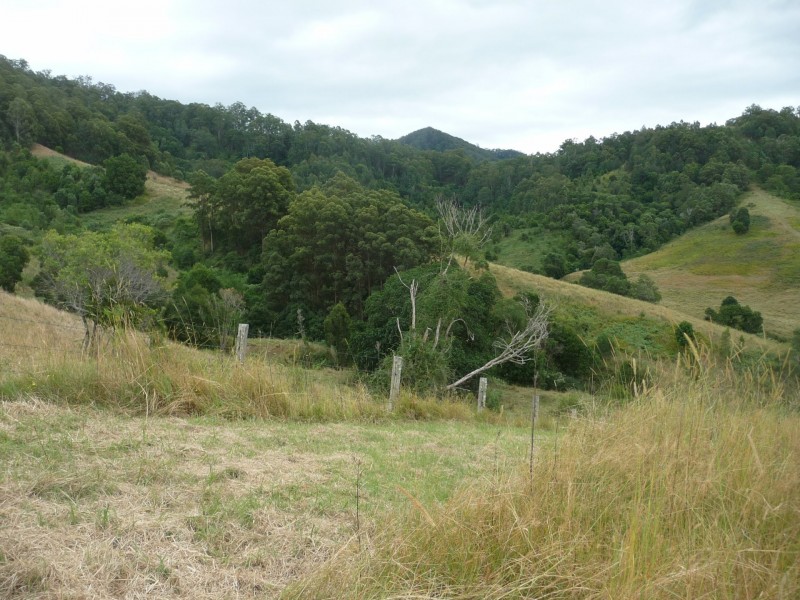 1843 Comboyne Road, Killabakh NSW 2429